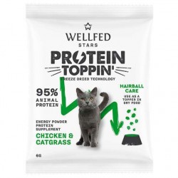 Wellfed F.D. Protein Toppin' Hairball Care Chicken & Catgrass 6gr Σούπες - Γαλατάκια